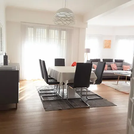Luxueux 3p En Plein Coeur De Apartment
